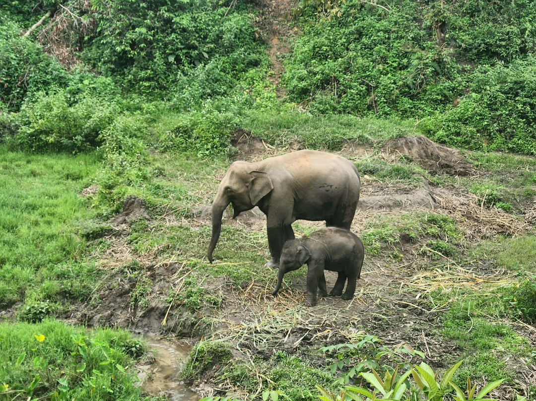 Hill Tribes Eco Lodges