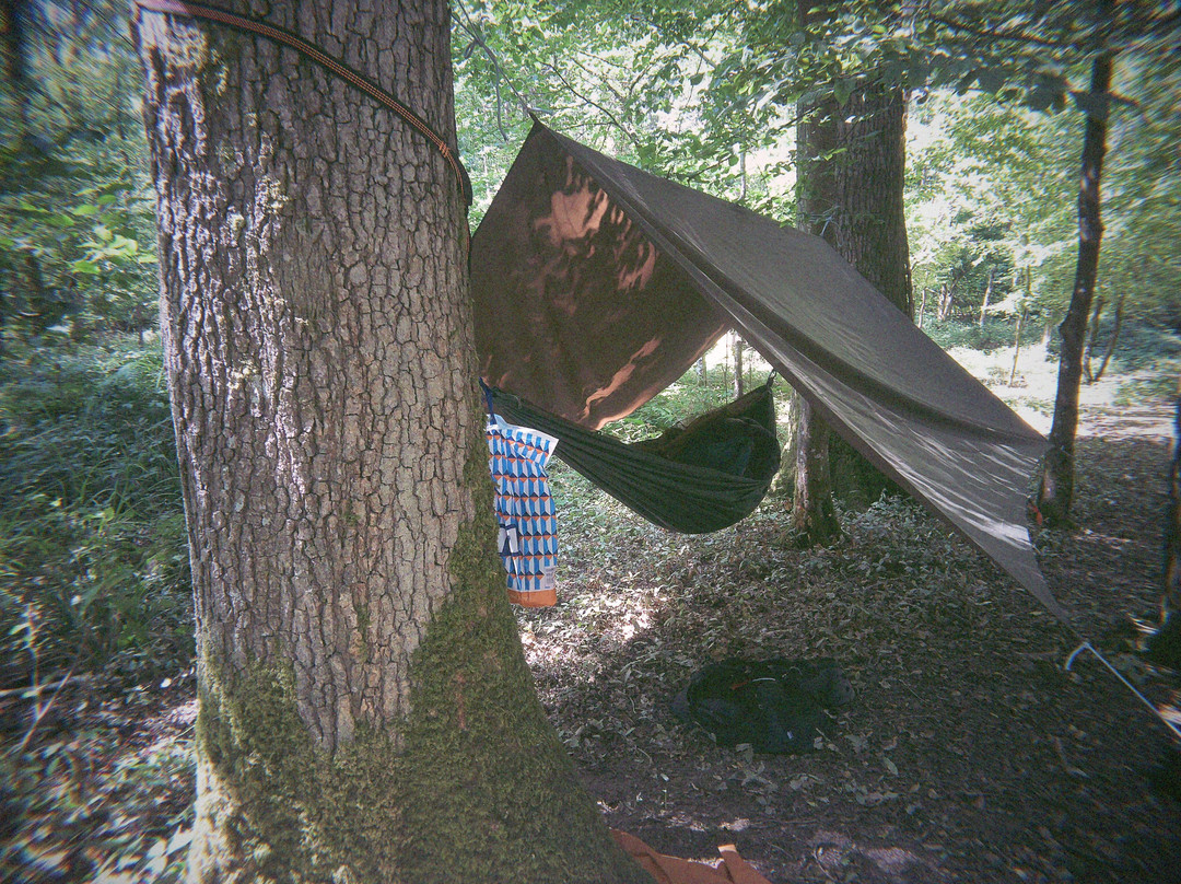 Wildway Bushcraft-Wimborne Minster必去景点