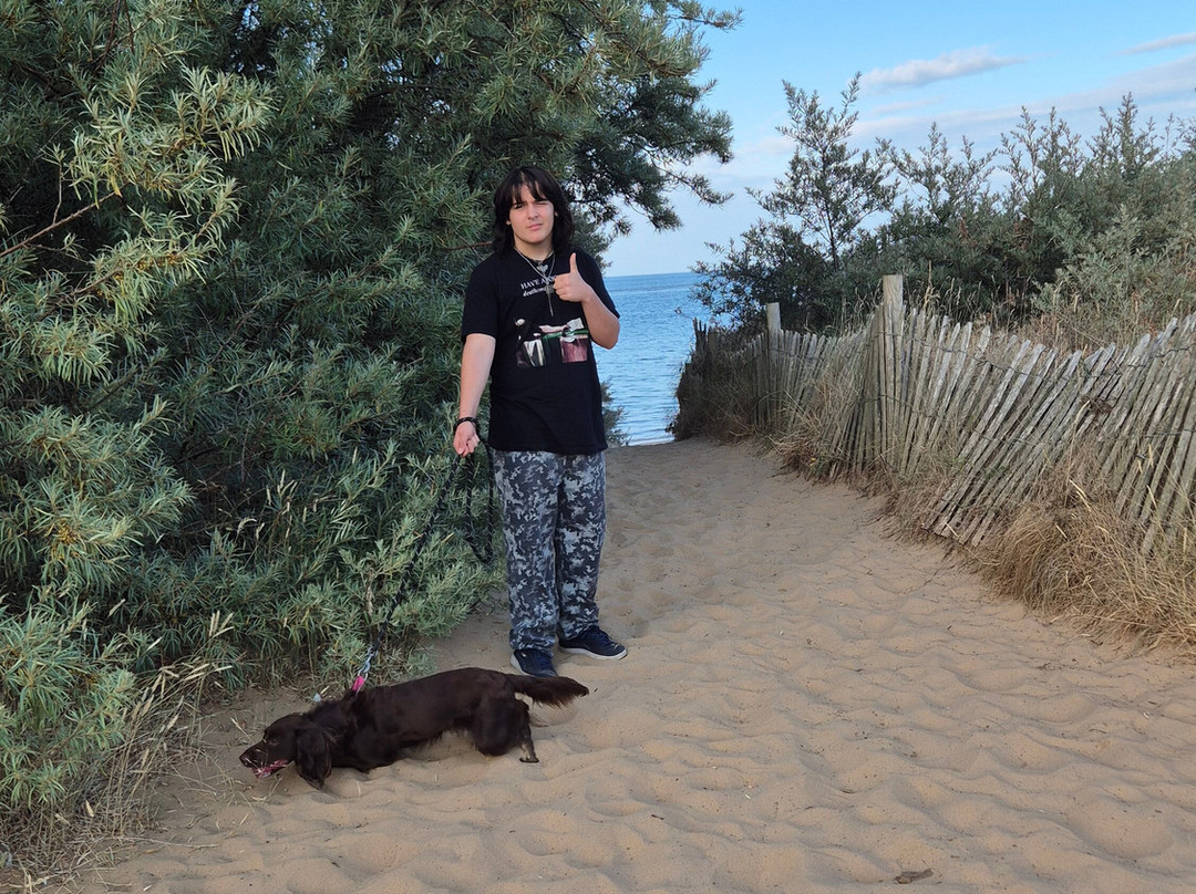 Cleethorpes Beach Holiday Park主图