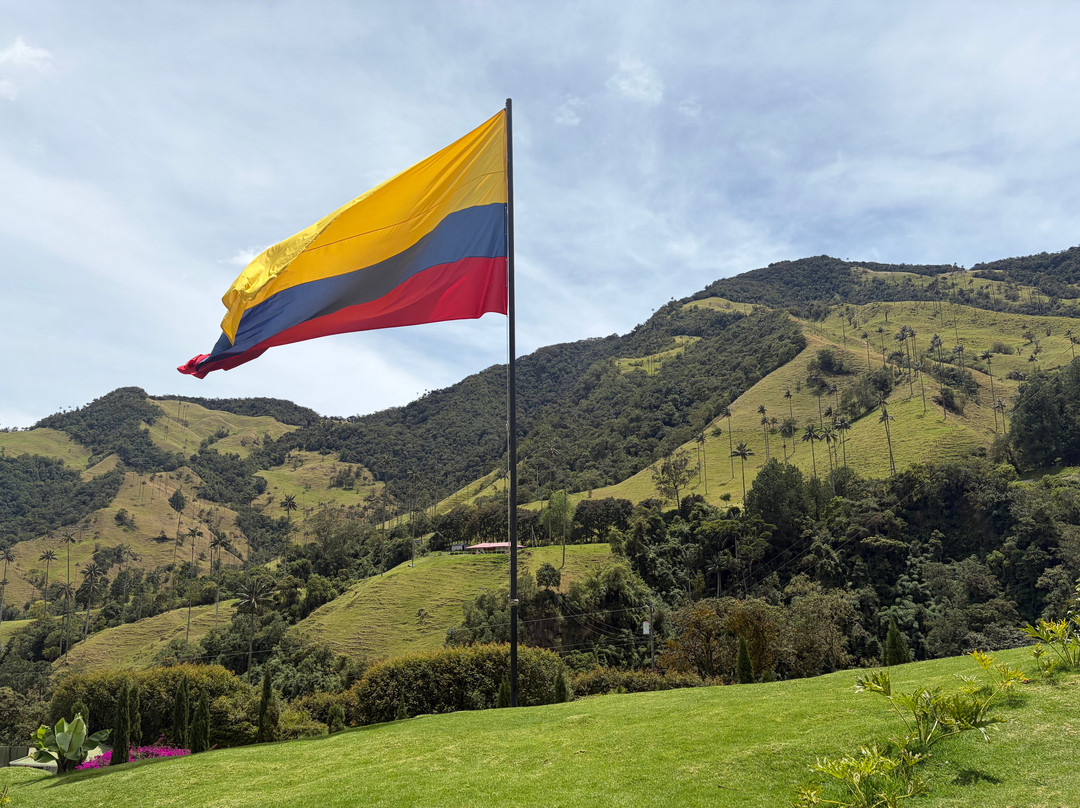 Valle del Cocora-萨伦托必去景点
