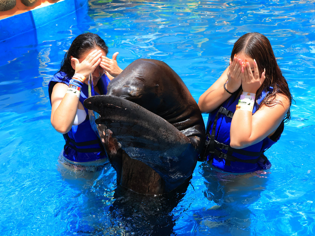 Vallarta Adventures-新瓦雅塔必去景点