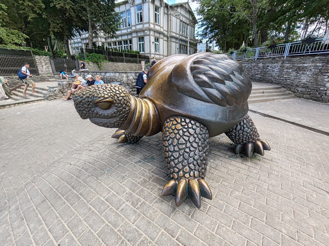 Brunurupucis (The Turtle)-尤尔马拉必去景点