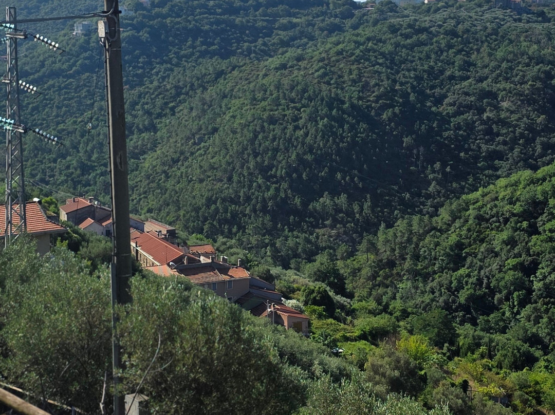 Agriturismo Costamagna主图