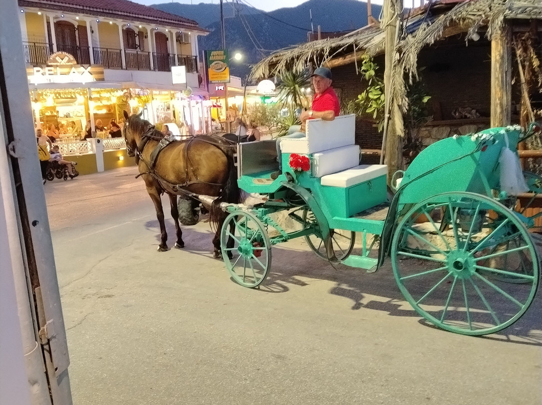 桑提海豚酒店主图
