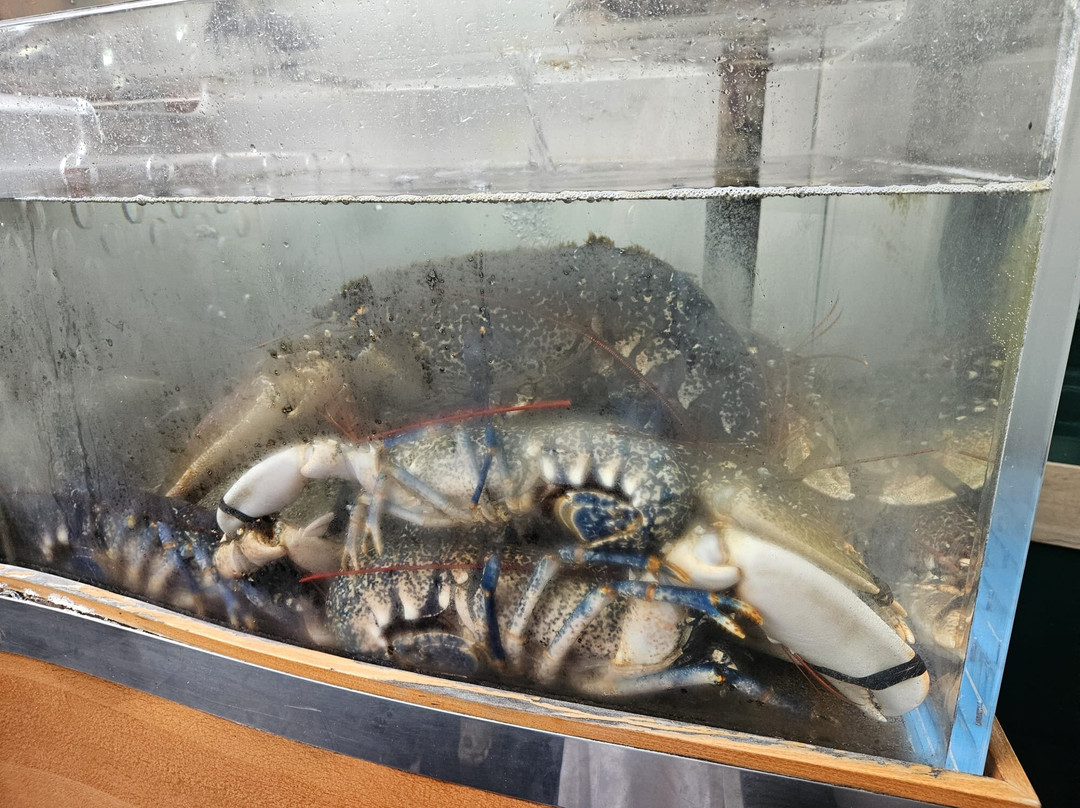 Tapia de Casariego餐馆和美食-Restaurante Sidreria la Terraza