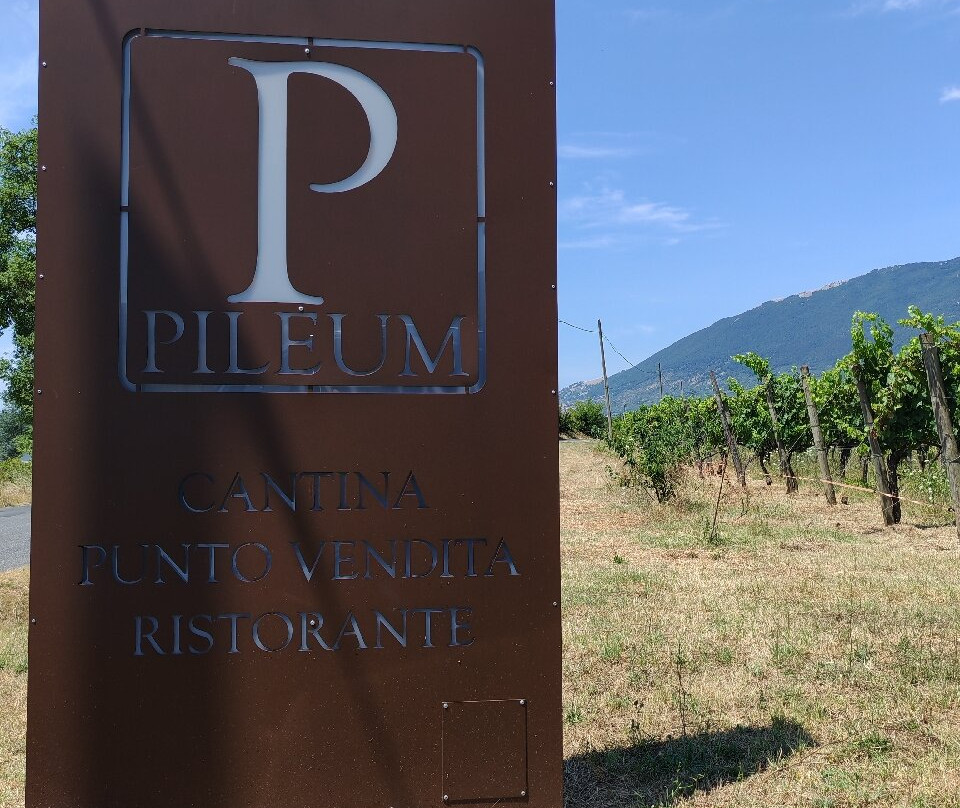 Azienda Vitivinicola Pileum-Piglio必去景点