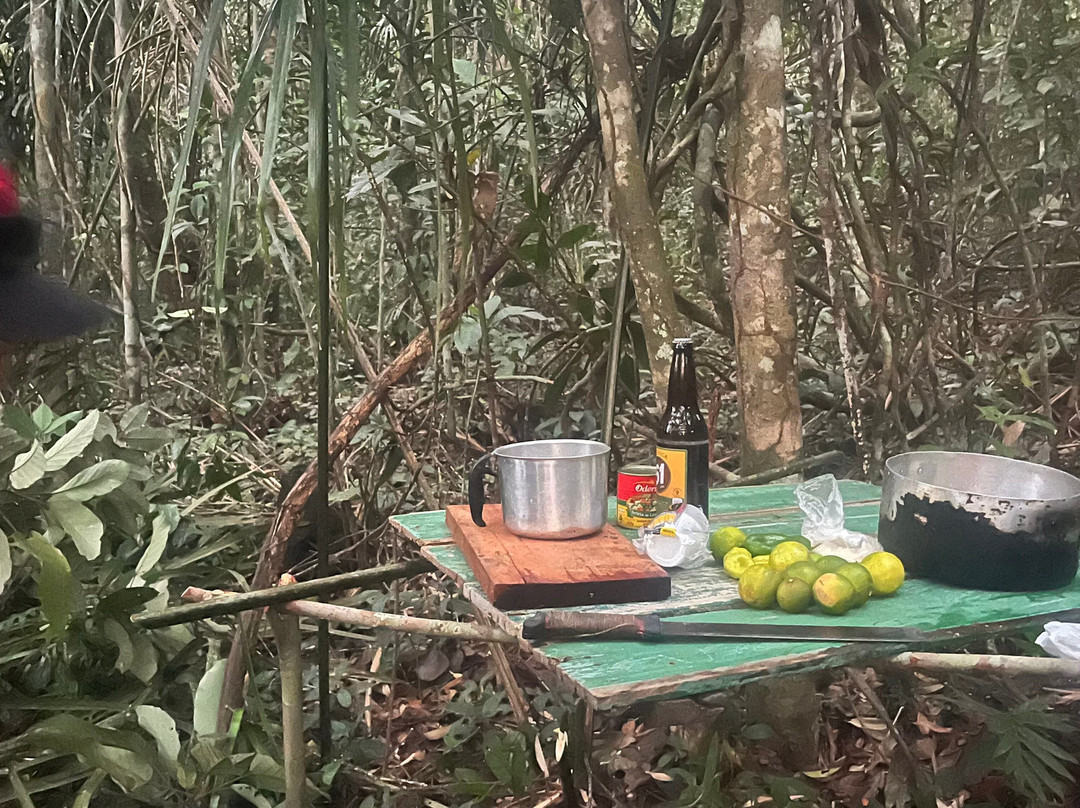 Amazon Rambo Jungle Tours-玛瑙斯必去景点