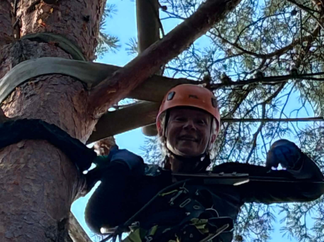 Multilevel Ziplines & Klätterpark-Hassleholm必去景点