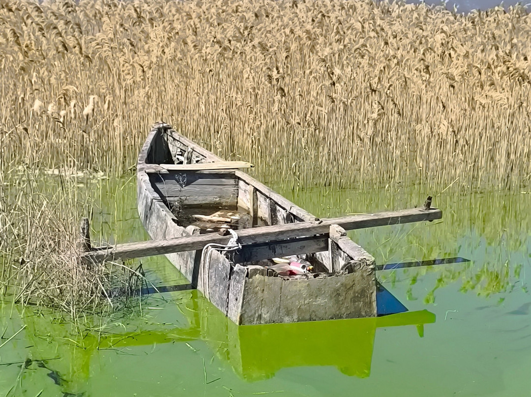 Lake Vegoritida-Arnissa必去景点