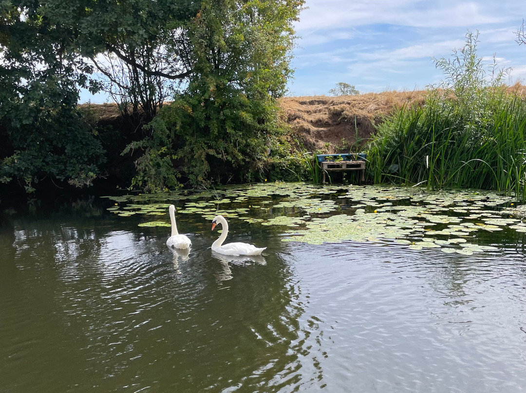 Bidford Boat Services-Bidford-on-Avon必去景点