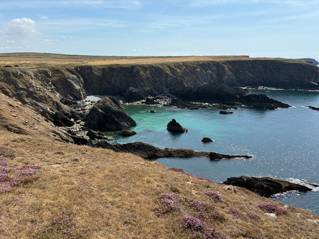 Pembrokeshire Islands Boat Trips-Skomer Island必去景点