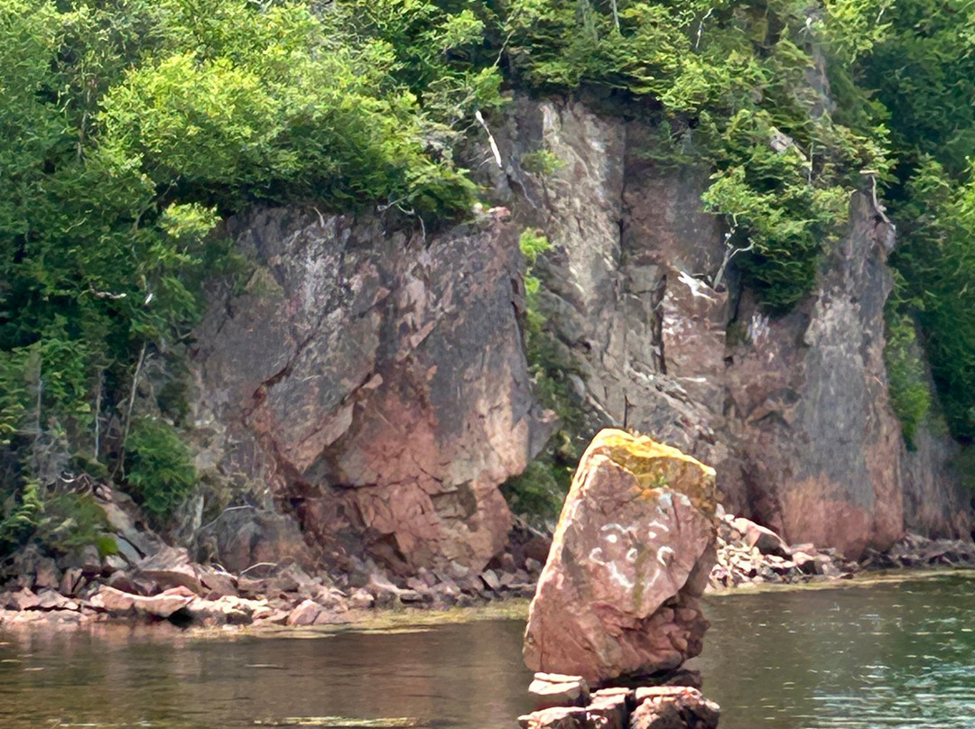 Gypsy Sea Adventures-Clarenville必去景点