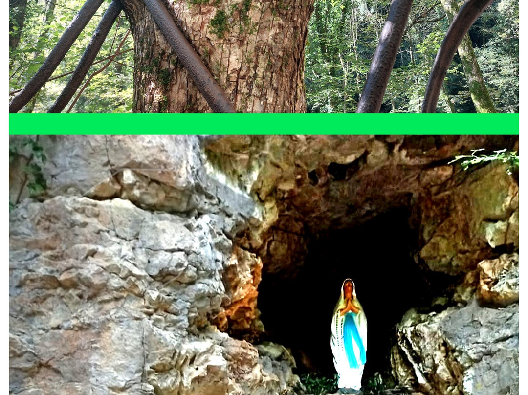 Bicicletta sull'albero - Madonna dell'emigrante boscaiolo-Strozza必去景点