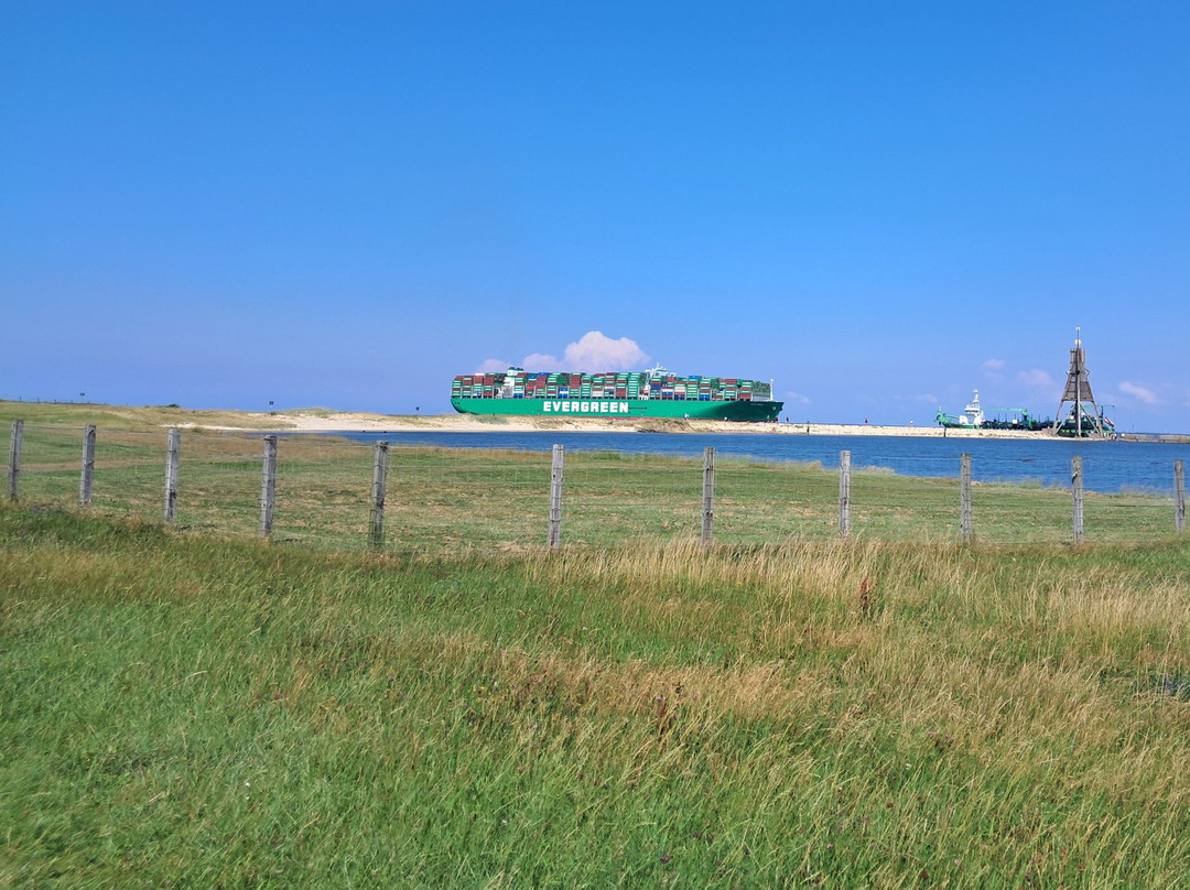 Cuxhavener Kuestenheide-库克斯港县必去景点