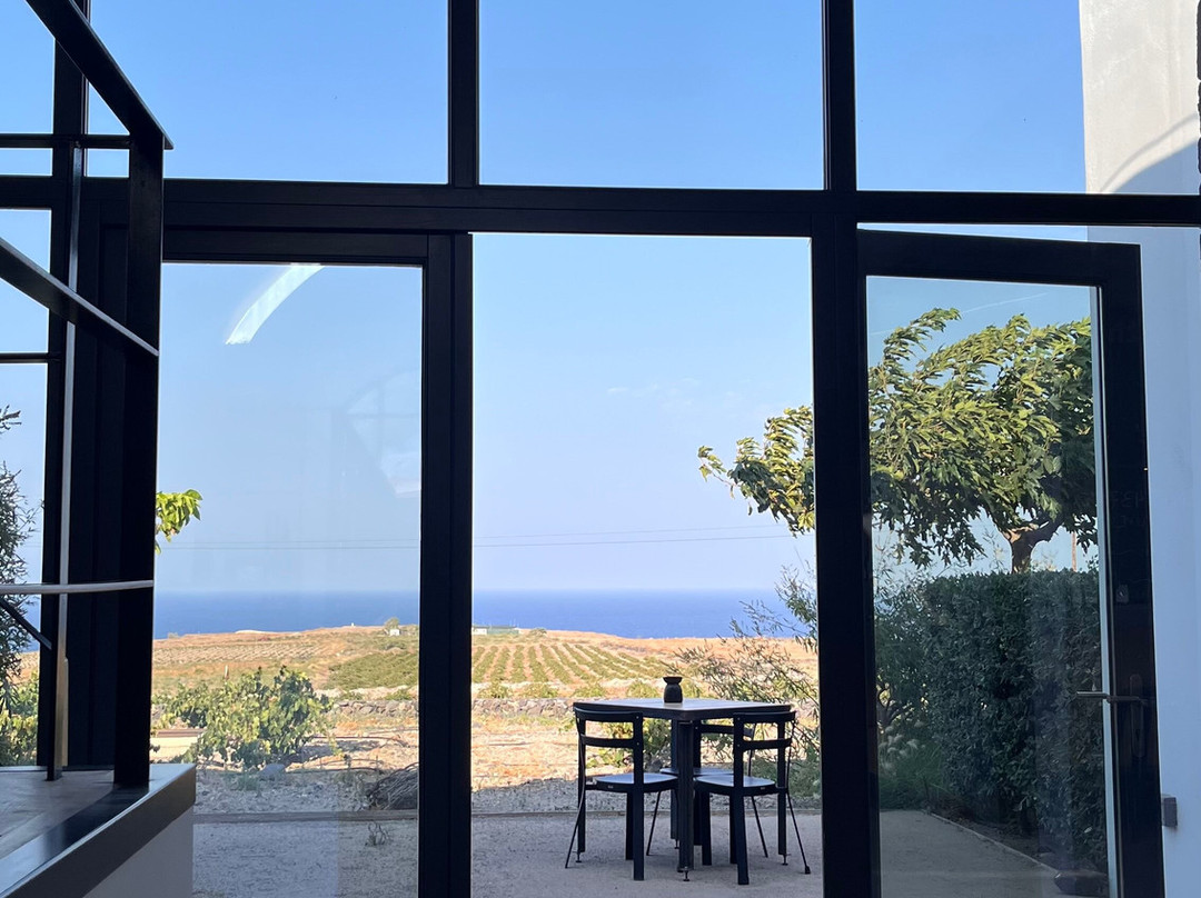 Vassaltis Vineyards-Vourvoulos必去景点