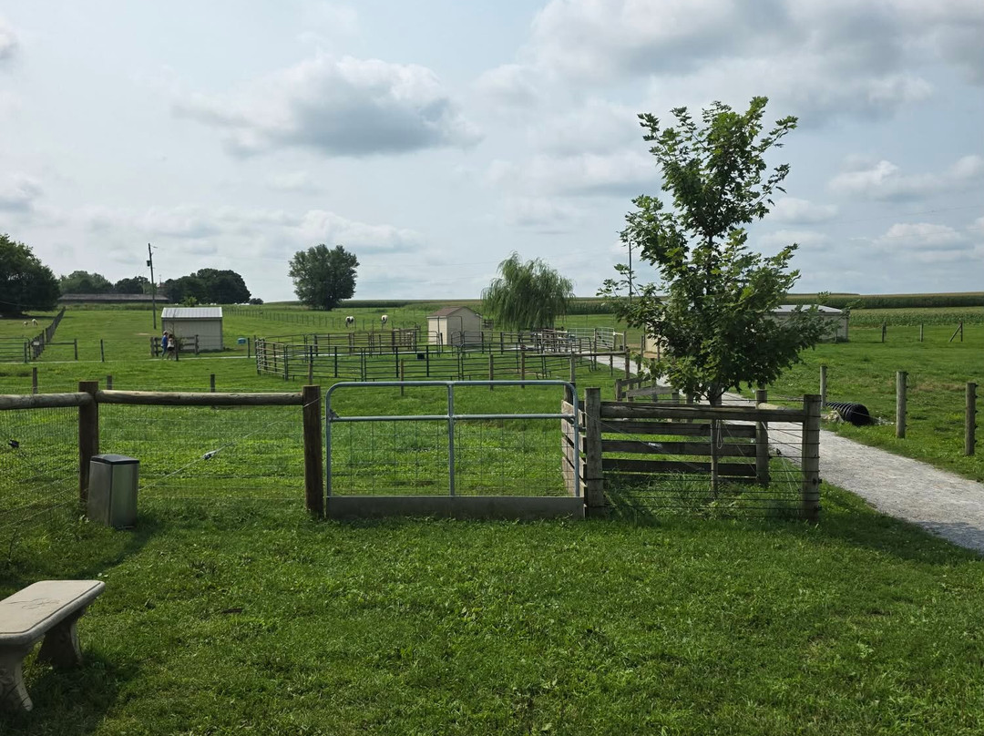 Li'l Country Store and Miniature Horse Farm-Ronks必去景点