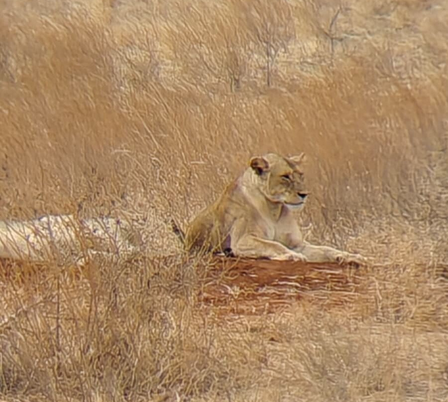 Msherembe Safaris And Travel-Voi必去景点