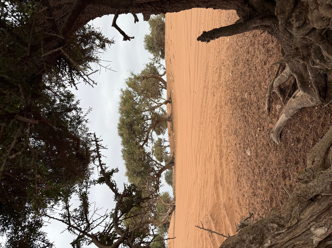 Parc Nacional de Souss-Massa-Takate必去景点