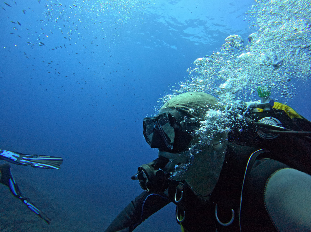 Blu Dive Center-圣特雷莎加卢拉必去景点