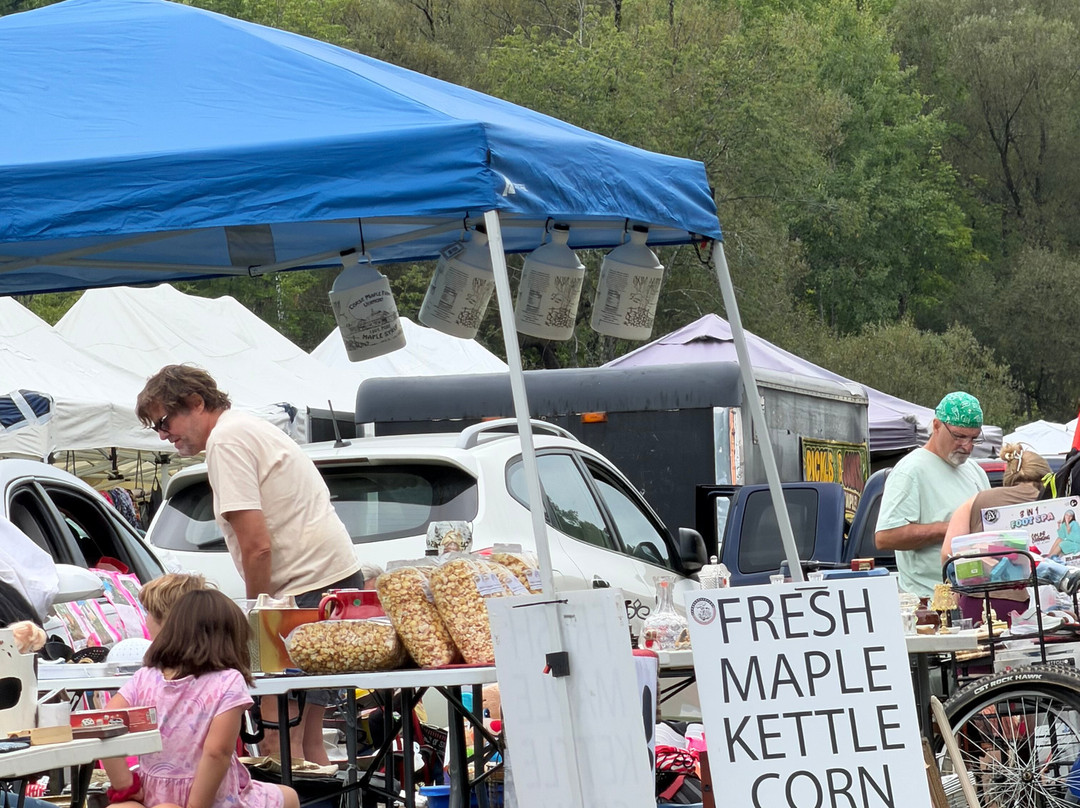 Wilmington Flea Market-Wilmington必去景点