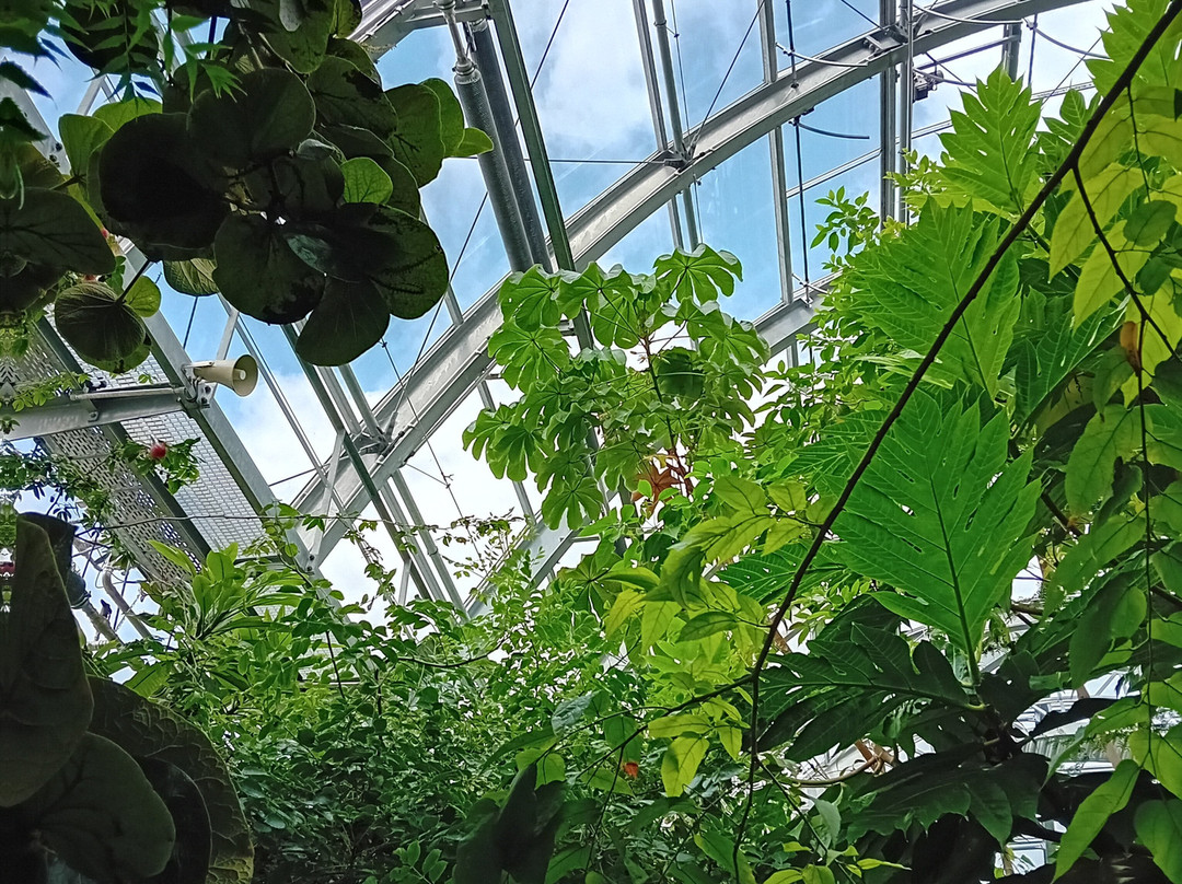 弗洛拉植物园-科隆必去景点