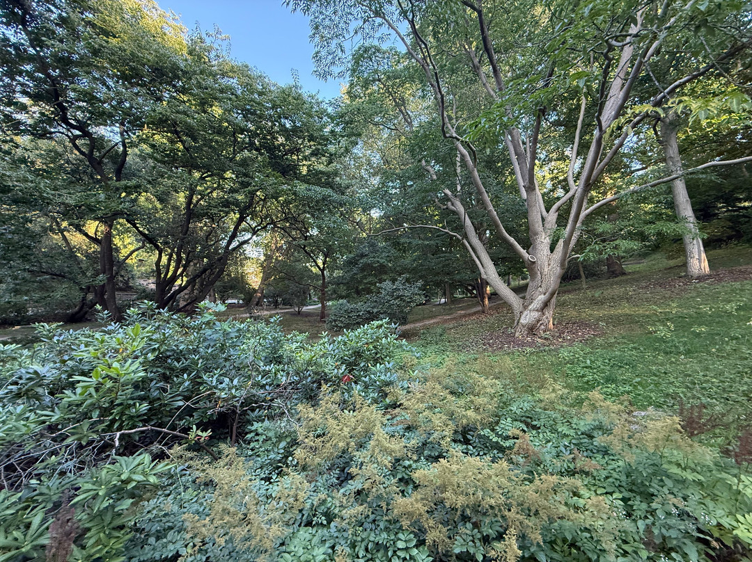 Alter Botanischer Garten-基尔必去景点