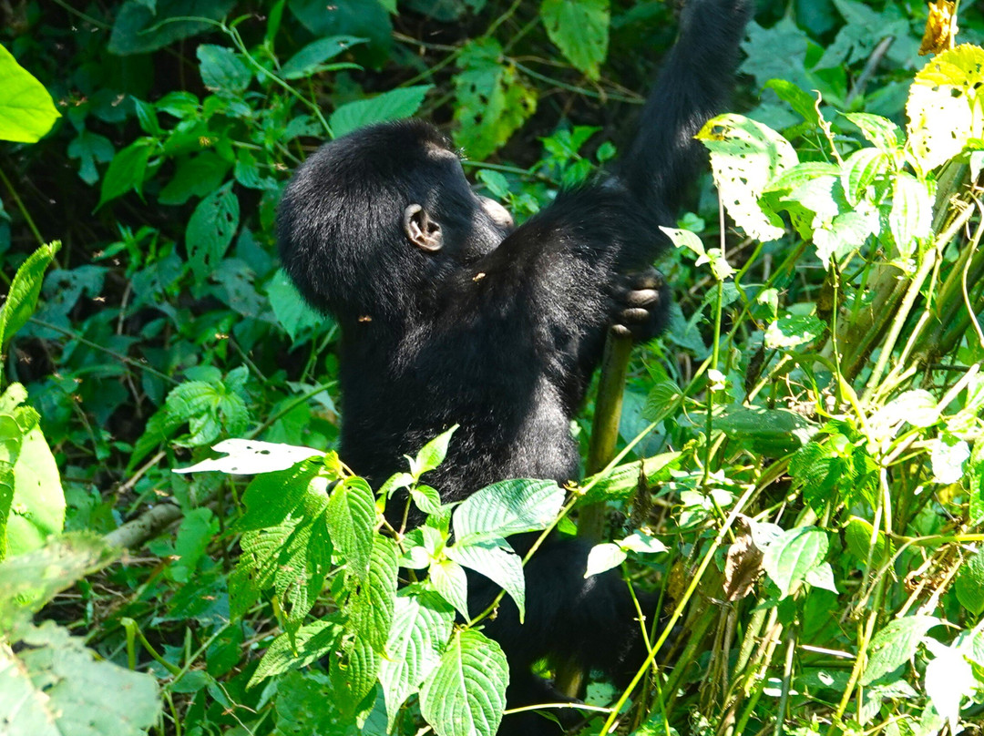 Hidden Gems of Uganda-卡巴莱必去景点