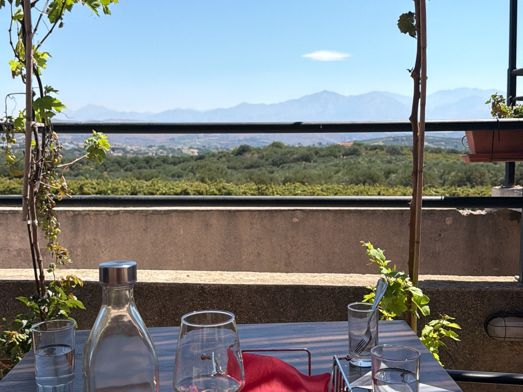 Winery Stilianou-Archanes必去景点