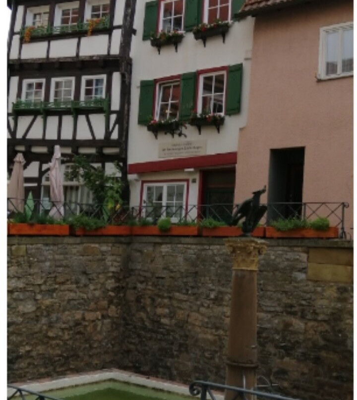 Wimpfen Imperial Palace-巴德温普芬必去景点