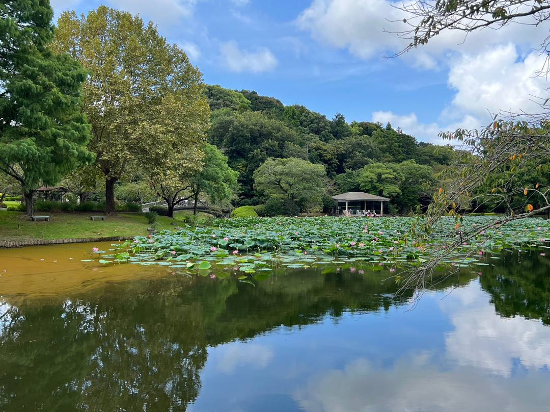 Hamamatsu Castle-滨松市必去景点