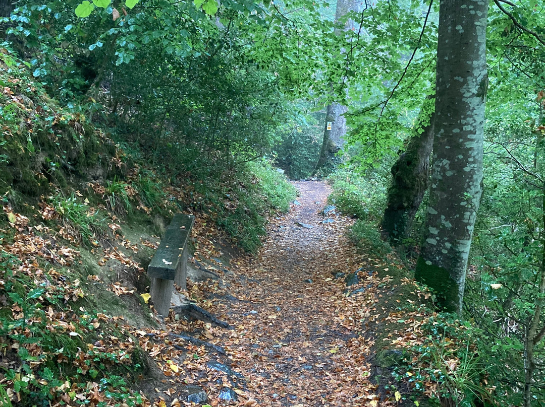 Fairy Glen-Betws-y-Coed必去景点
