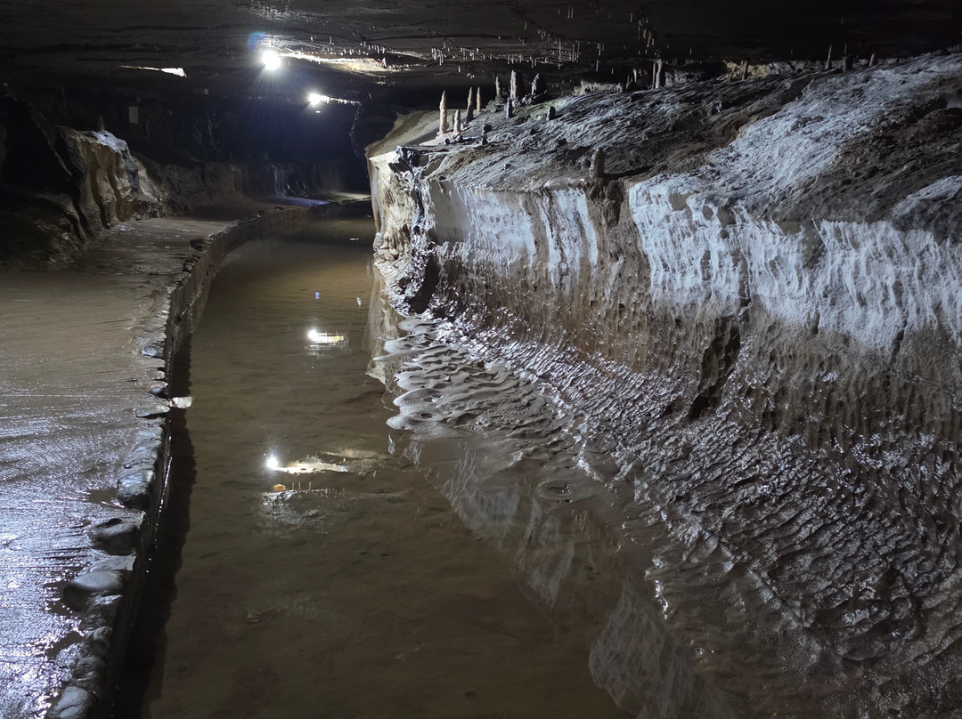 Ingleborough Cave-Clapham必去景点