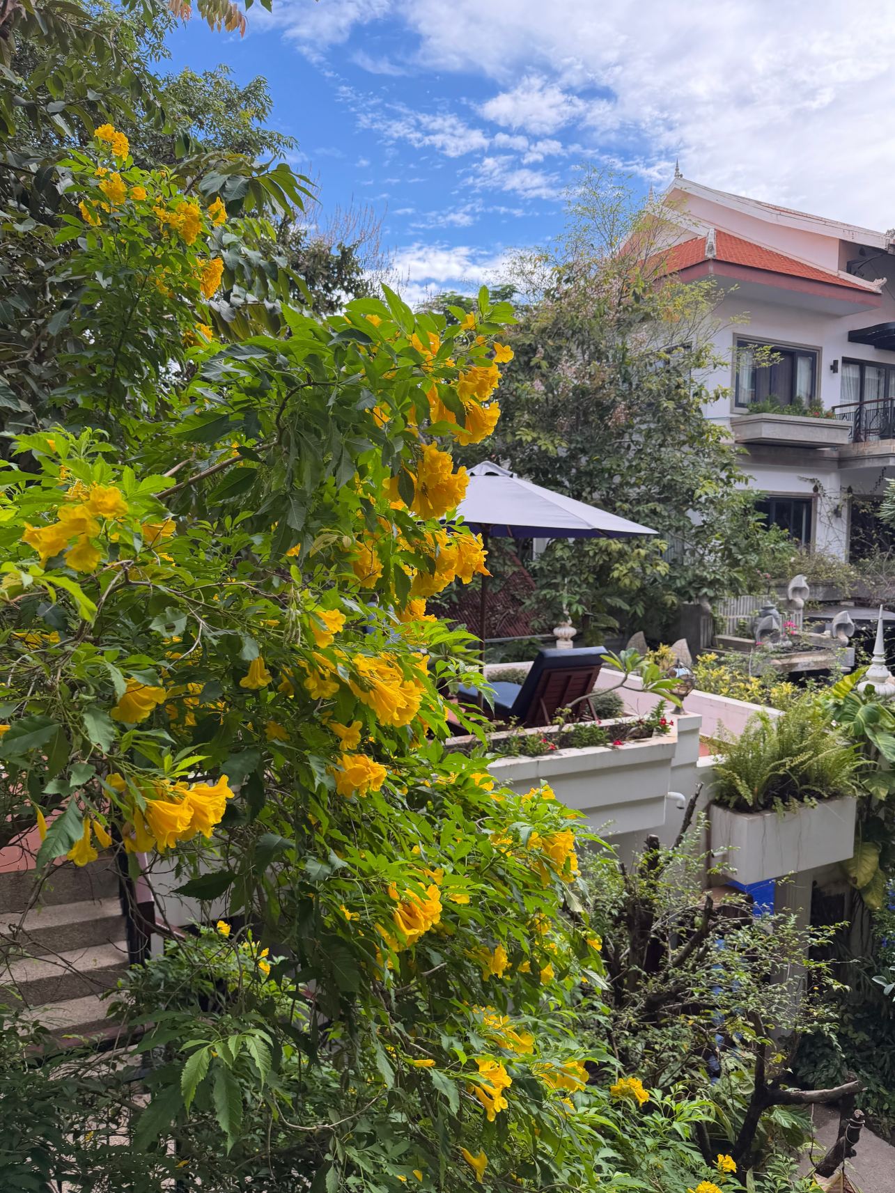 高棉宅邸住宅酒店-旅行者