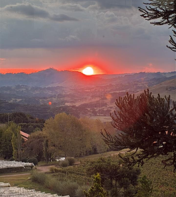 Villa Francioni-Sao Joaquim必去景点