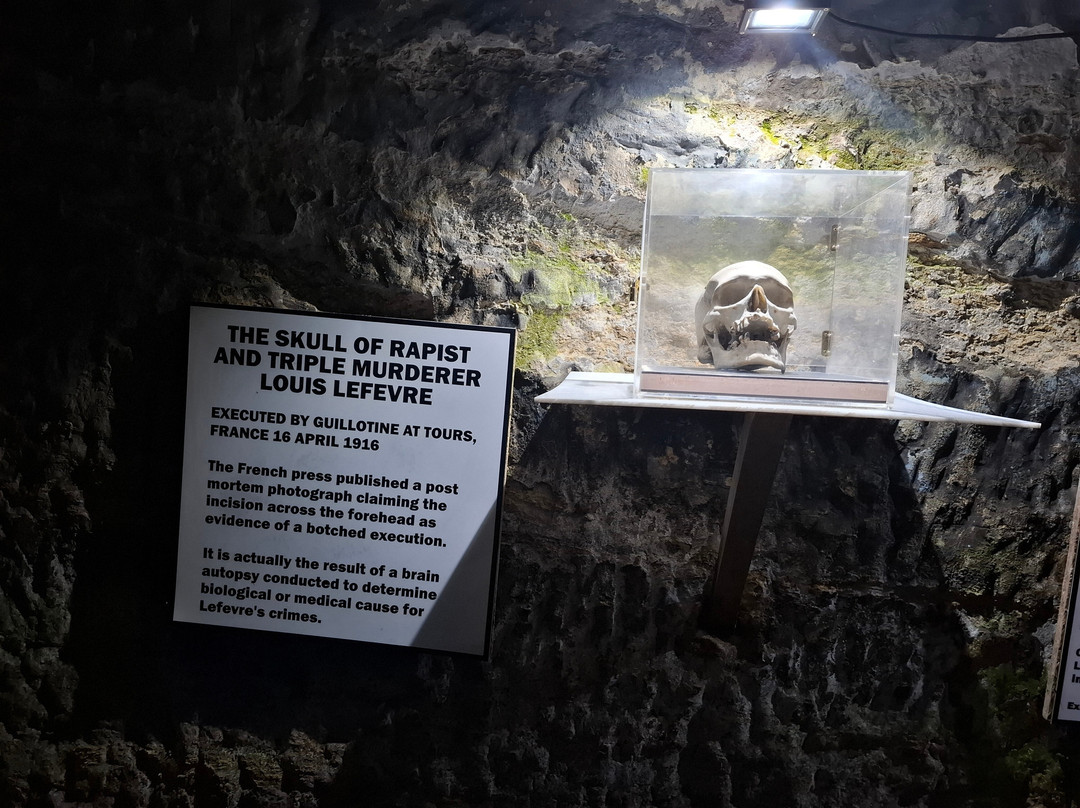 The True CRIME Museum-海斯廷斯必去景点