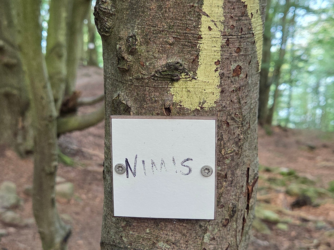 Nimis-赫加奈斯必去景点