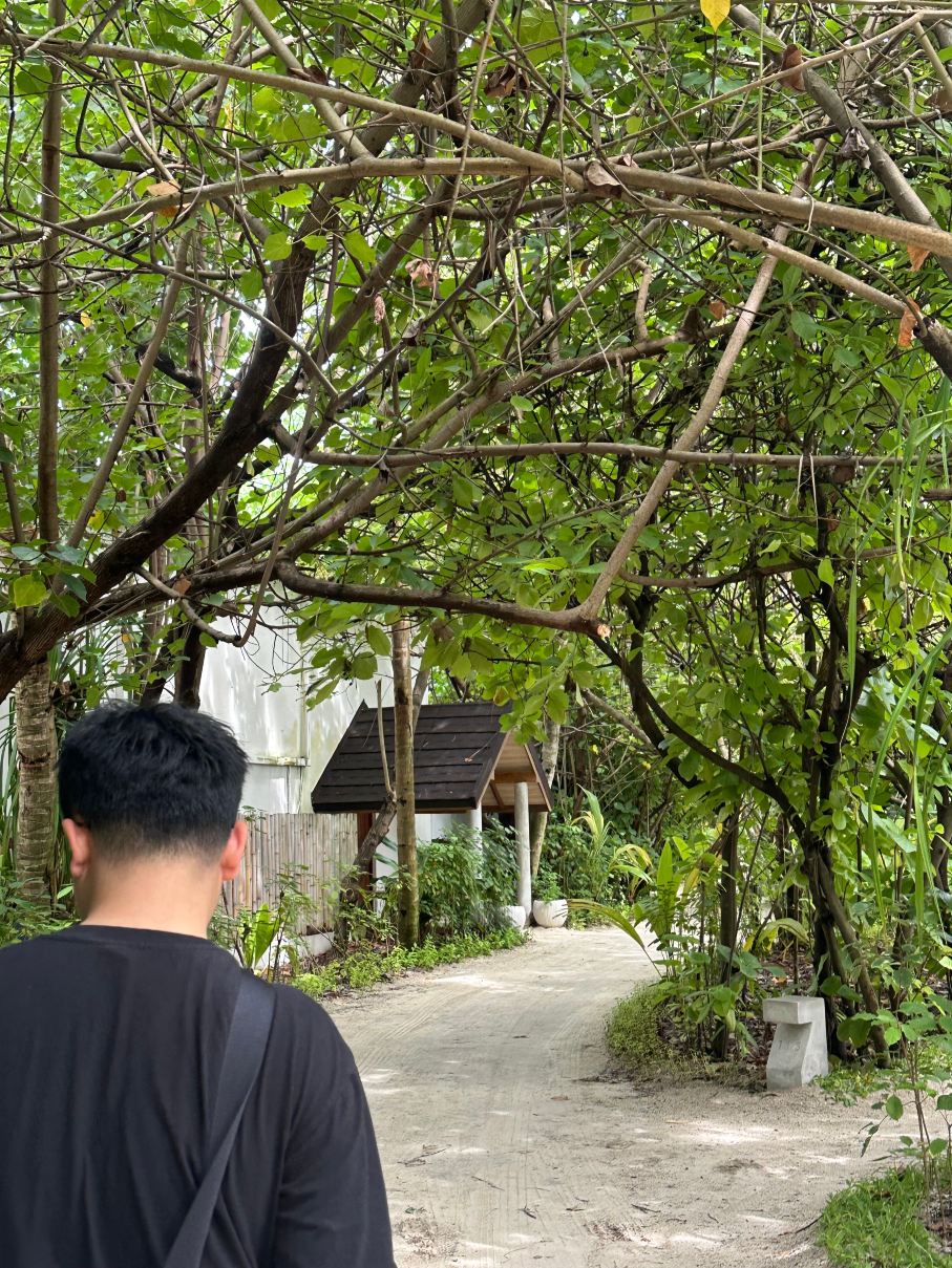 富士法鲁马尔代夫-旅行者
