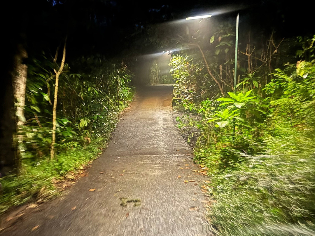 瓦亚纳德野外雨林旅馆-CGH地球酒店主图