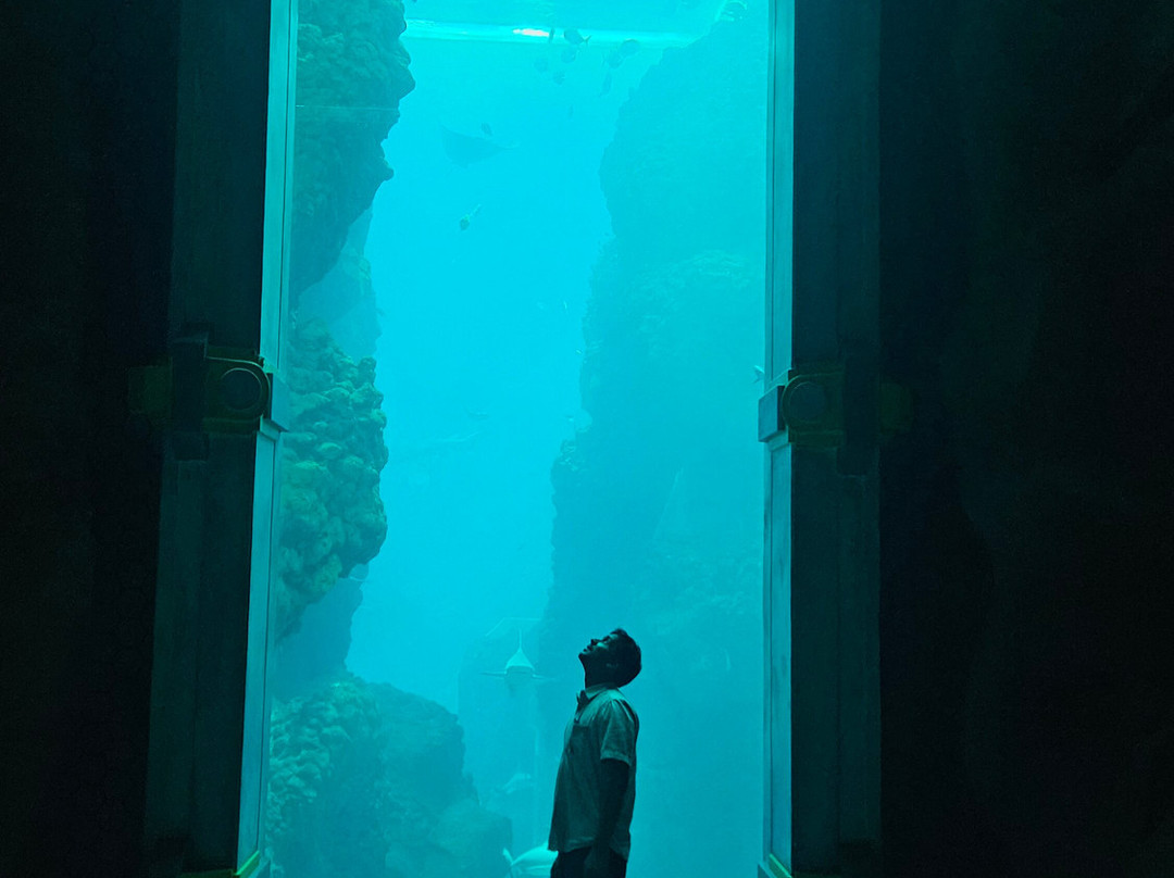 SeaWorld Yas Island Abu Dhabi-阿布扎比必去景点