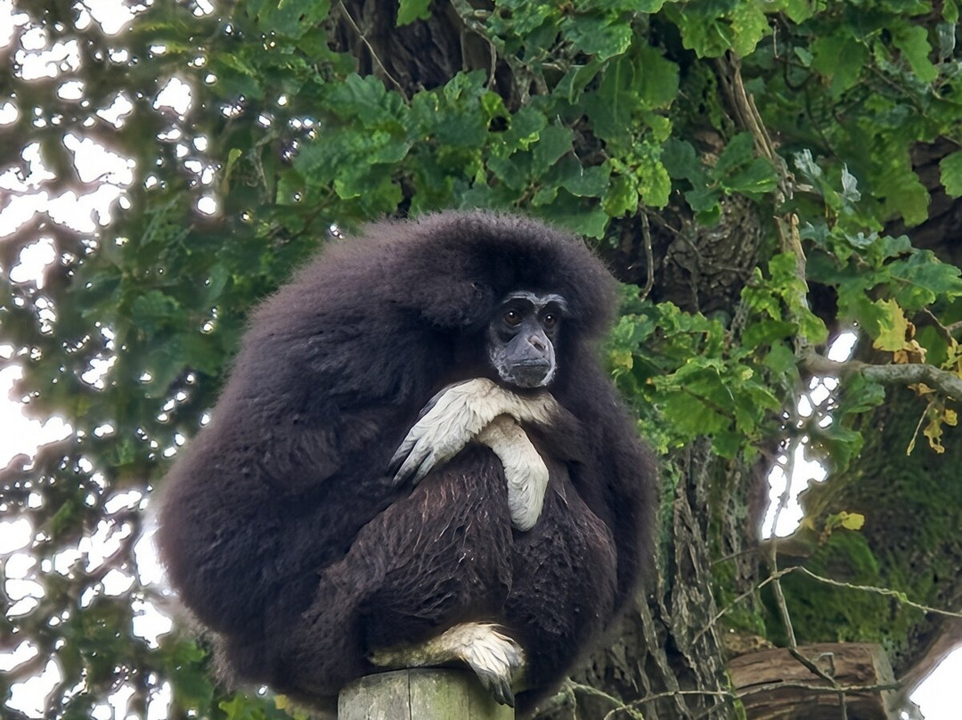 The Lake District Wildlife Park-Bassenthwaite必去景点