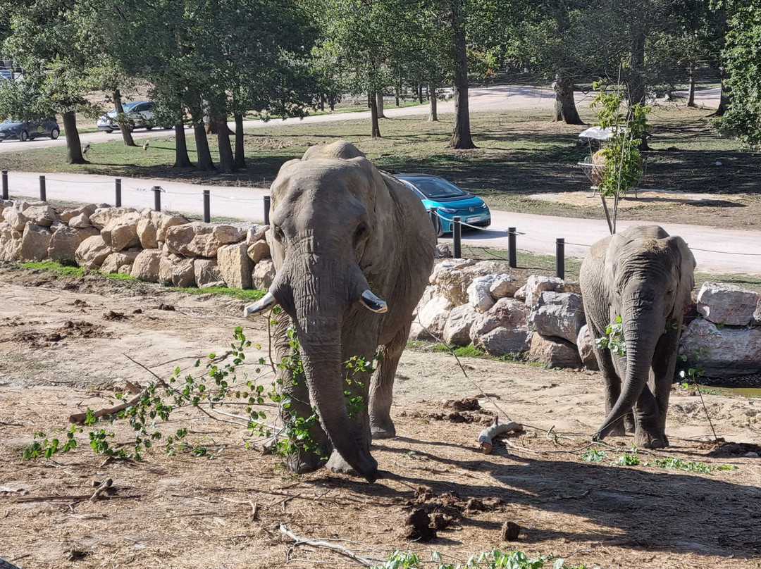 Lodge Terres d'Afrique du Wow Safari Thoiry