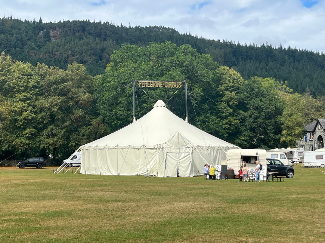 Perigrine Circus