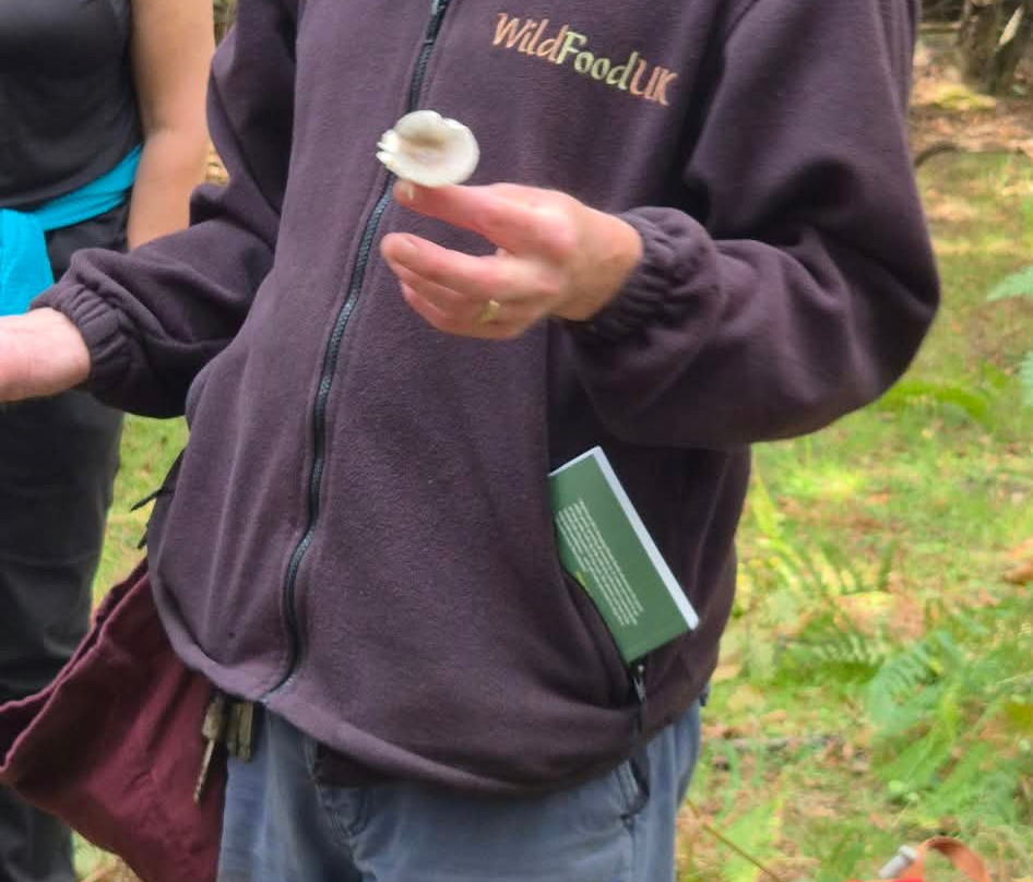 Wild Food Uk-Byford必去景点