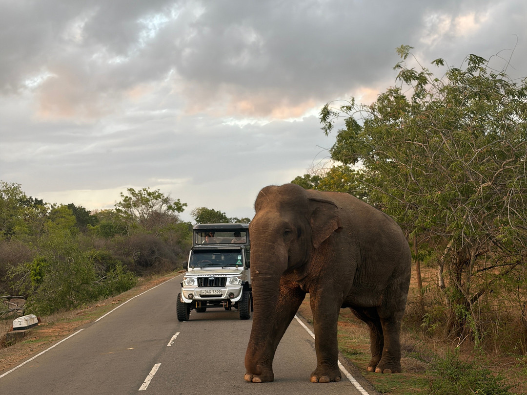 Visit Sri Lanka Transfers-Ratmalana必去景点