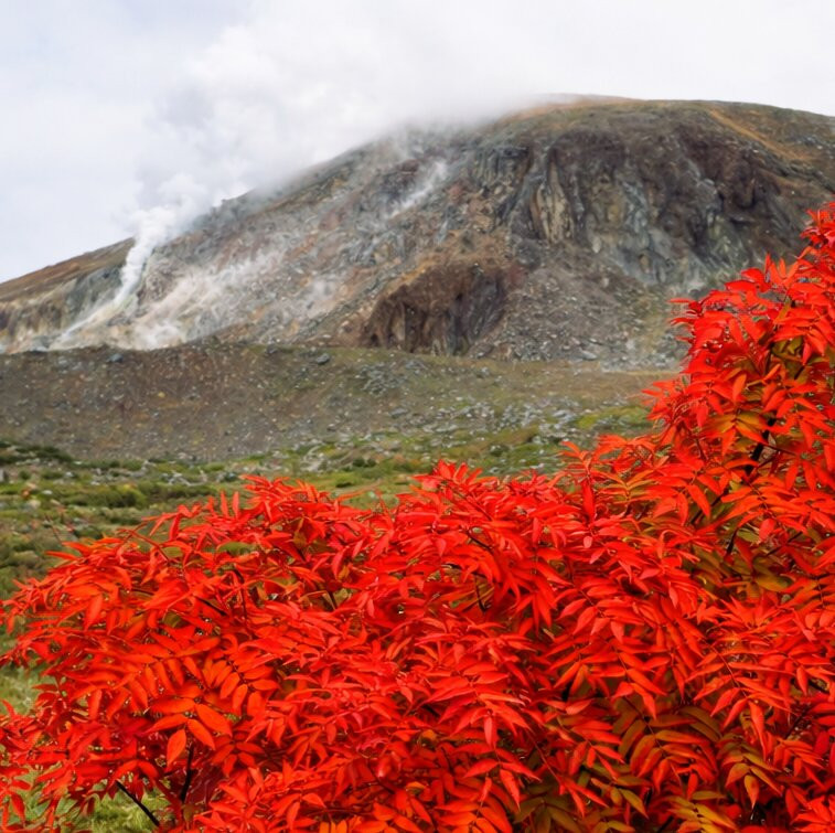 Mt. Issaikyo-福岛市必去景点
