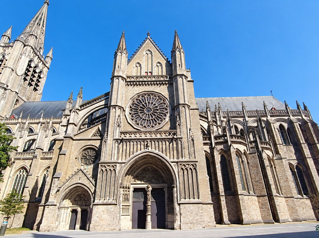 Saint Martin's Cathedral-伊普尔必去景点
