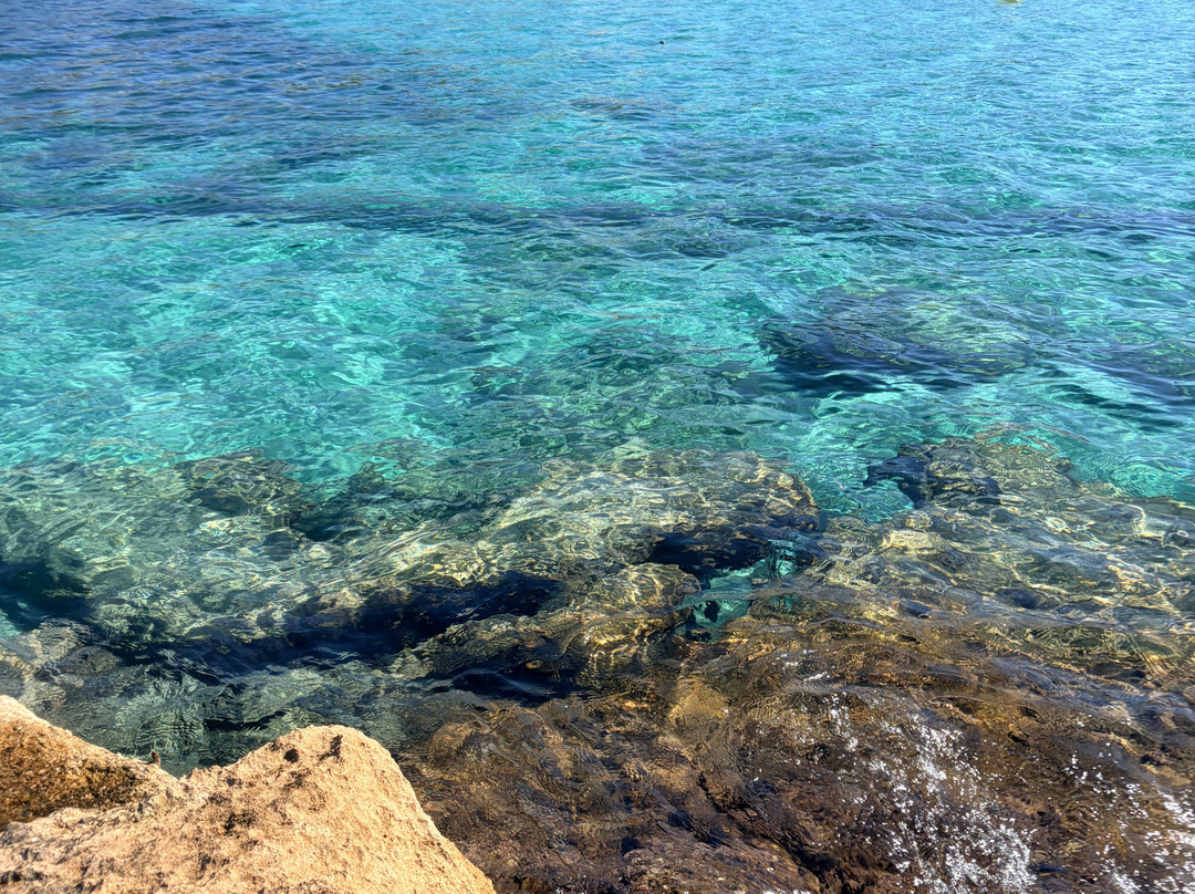Orcasub Ibiza Diving Center-Cala Tarida必去景点