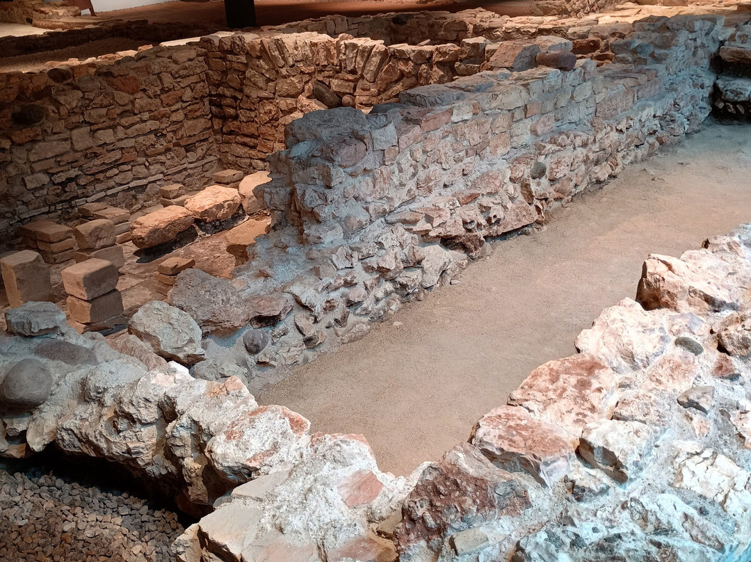 Spazio Archeologico Sotterraneo del Sas-特伦托必去景点
