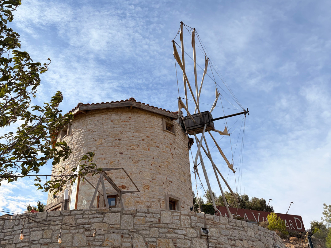 Datca Vineyard & Winery-Datca必去景点