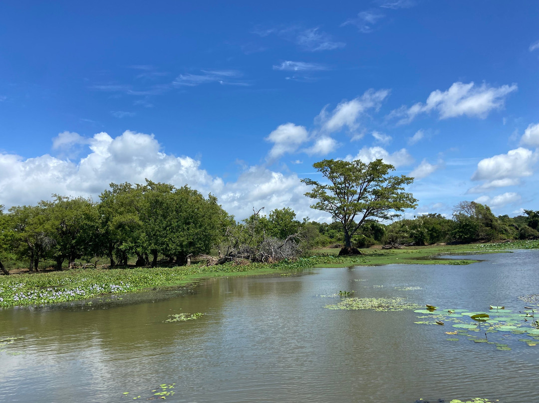 Indika Travel and Tourism Sri Lanka-Kadawata必去景点
